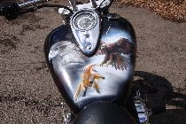 Motorrad kaufen Occasion TRIUMPH Thunderbird 1600 (custom)