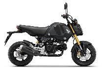 Motorrad kaufen Neufahrzeug HONDA MSX 125 (naked)