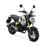 Motorrad kaufen Neufahrzeug HONDA MSX 125 (naked)