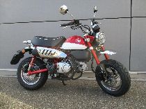Motorrad kaufen Neufahrzeug HONDA Z 125 MA Monkey (naked)