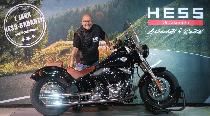 Motorrad kaufen Occasion HARLEY-DAVIDSON FLS 1690 Softail Slim ABS (custom)