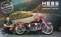 Motorrad kaufen Neufahrzeug HARLEY-DAVIDSON FLDE 1745 Deluxe 107 (custom)