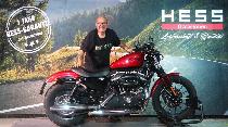 Motorrad kaufen Occasion HARLEY-DAVIDSON XL 883 N Iron (custom)