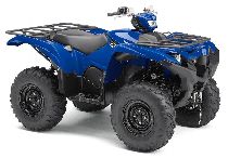 Motorrad kaufen Occasion YAMAHA YFM 700 Grizzly (quad-atv-ssv)