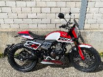 Motorrad kaufen Occasion MONDIAL Flat Track 125 (retro)