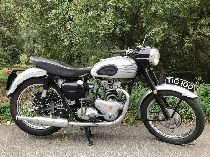 Motorrad kaufen Oldtimer TRIUMPH T 100 Tiger (sport)
