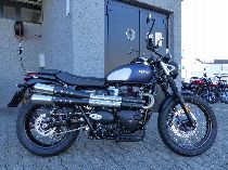 Motorrad kaufen Neufahrzeug TRIUMPH Street Scrambler 900 (retro)
