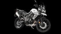 Motorrad kaufen Neufahrzeug TRIUMPH Tiger 800 XCA (enduro)