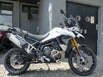 Motorrad kaufen Neufahrzeug TRIUMPH Tiger 900 Rally Pro (enduro)
