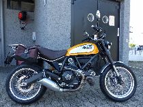 Motorrad kaufen Occasion DUCATI 803 Scrambler (retro)