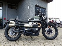 Motorrad Mieten & Roller Mieten TRIUMPH Street Scrambler 900 (Retro)