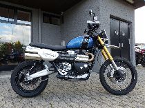 Motorrad kaufen Occasion TRIUMPH Scrambler 1200 XE (retro)