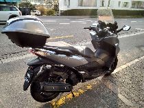 Motorrad kaufen Occasion HONDA NSS 125 AD Forza ABS (roller)