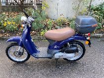 Motorrad kaufen Occasion HONDA SGX 50 Sky (roller)