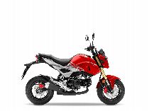 Motorrad kaufen Neufahrzeug HONDA MSX 125 (naked)