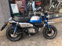 Motorrad kaufen Neufahrzeug HONDA Z 125 MA Monkey (naked)
