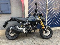 Motorrad kaufen Neufahrzeug HONDA MSX 125 (naked)