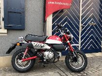 Motorrad kaufen Neufahrzeug HONDA Z 125 MA Monkey (naked)