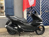 Motorrad kaufen Neufahrzeug HONDA PCX WW 125 A (roller)