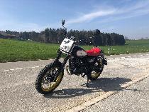 Motorrad kaufen Neufahrzeug MASH Dirt Track 125 (naked)