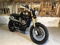 Motorrad kaufen Occasion TRIUMPH Scrambler 900 (naked)