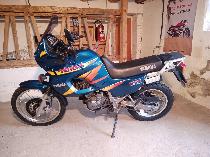 Motorrad kaufen Occasion YAMAHA XTZ 660 Tenere (enduro)