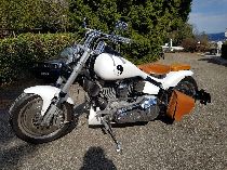Motorrad kaufen Occasion HARLEY-DAVIDSON FXST 1340 Softail Standard (custom)
