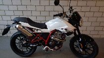 Motorrad kaufen Neufahrzeug MALAGUTI Monte 125 (naked)