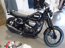 Motorrad kaufen Vorführmodell YAMAHA SCR 950 (custom)