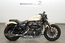 Motorrad kaufen Occasion HARLEY-DAVIDSON XL 883 N Iron ABS (custom)