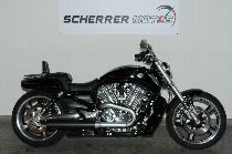 Motorrad kaufen Occasion HARLEY-DAVIDSON VRSCF 1250 V-Rod Muscle ABS (custom)