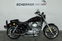 Motorrad kaufen Occasion HARLEY-DAVIDSON XL 883 L Sportster Low (custom)
