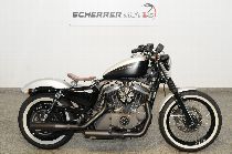 Motorrad kaufen Occasion HARLEY-DAVIDSON XL 1200 N Sportster Nightster (custom)