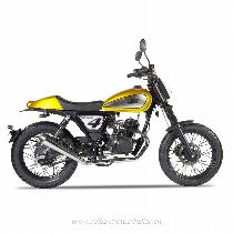 Motorrad kaufen Neufahrzeug MASH Dirt Track 50 (retro)