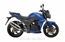 Motorrad kaufen Neufahrzeug SYM Wolf 250 i (naked)