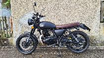 Motorrad kaufen Occasion MASH Two Fifty 250 (retro)