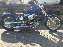 Motorrad kaufen Occasion MWH Custom (custom)