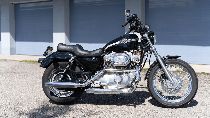 Motorrad kaufen Occasion HARLEY-DAVIDSON XLH 883 Hugger Sportster (custom)
