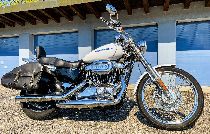 Motorrad kaufen Occasion HARLEY-DAVIDSON XL 1200 C Sportster Custom (custom)