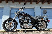Motorrad kaufen Occasion HARLEY-DAVIDSON XL 1200 C Sportster Custom (custom)