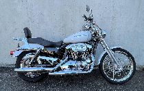 Motorrad kaufen Occasion HARLEY-DAVIDSON XL 1200 C Sportster Custom (custom)