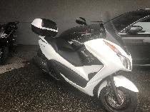 Motorrad kaufen Occasion HONDA NSS 300 A Forza (roller)