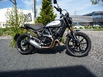 Motorrad kaufen Occasion DUCATI 803 Scrambler Icon Dark (retro)