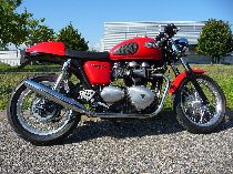 Motorrad kaufen Occasion TRIUMPH Thruxton 900 (retro)