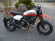 Motorrad kaufen Neufahrzeug DUCATI 803 Scrambler Urban Motard (retro)