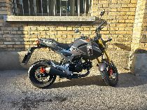 Motorrad kaufen Occasion HONDA MSX 125 (naked)